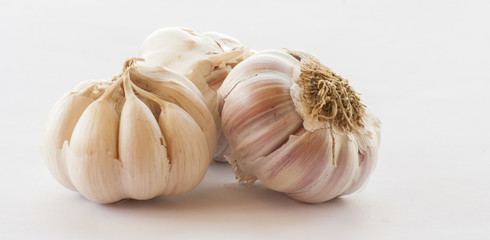 Garlic isolated on white background
