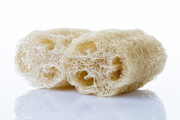 Luffa, loofa natural vegetable fiber for body scrubbing and used - obrazy, fototapety, plakaty