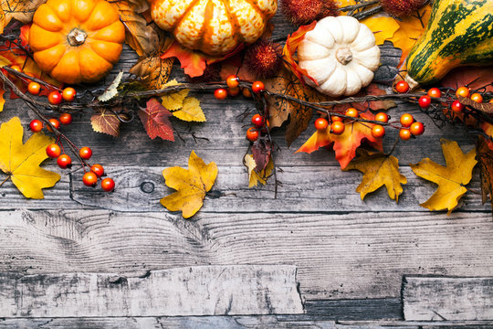 Herbst Hintergrund mit Herbst Blätter Laub Kürbis