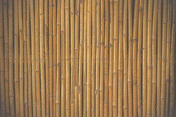bamboo fence background Film Style