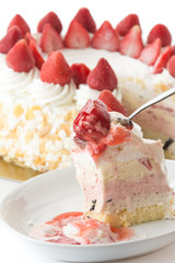 ice-cream cake