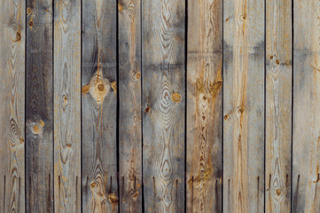 wood background