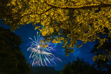 Obraz premium Feuerwerk, Laternenfest in Halle/Saale