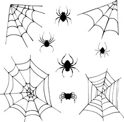set of spiders