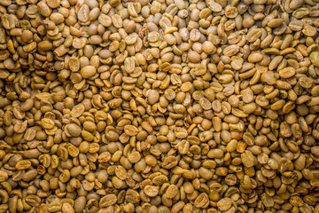 cofee beans closeup