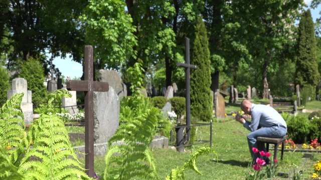 Despair mourning son man sit on bench near mother grave in cemetery. Focus on fern plants in graveyard. Static blurred shot. 4K
