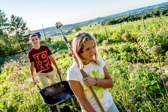 A teenager and a child, girl, carrying a wheelbarrow and a hoe
