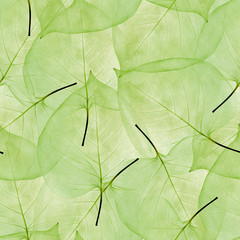 Naklejka na ściany i meble seamless background from light green leaves