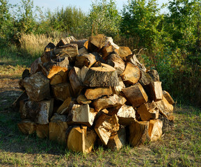 Pile of wood logs