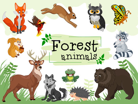 Forest Animals Set