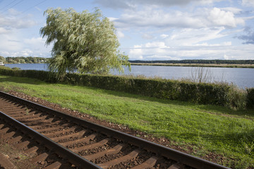 Willow Tree at Jurmala Railway Station