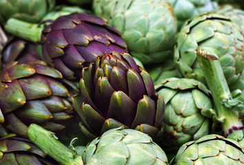 Fototapeta premium Gemischte Artischocken