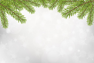 Fototapeta na wymiar Christmas tree top frame isolated on silver blurred background
