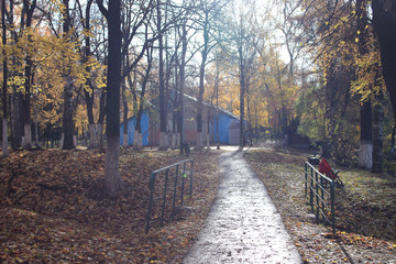 leaf fall in autumn park landscape
