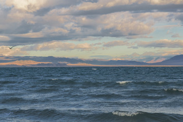 Fototapeta premium Wind and waves on the lake