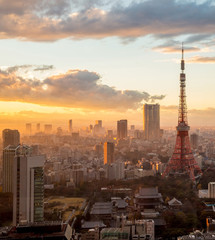 Fototapeta na wymiar Tokyo Tower in Tokyo, Japan.