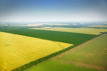 Aerial view of colza fields near the village