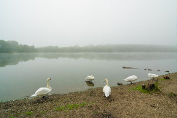 Herbstmorgen am Kanal, Halle/Saale