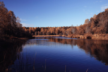 Lake Forest autumn landscape nature