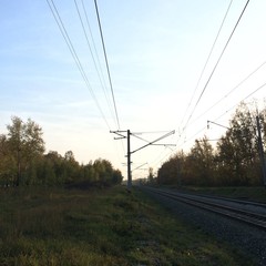 road train in forest