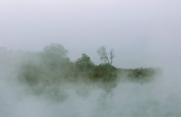 Mysterious morning in the lake