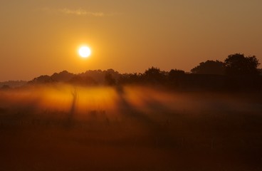 Colorful orange red sunrise with mysterious fog in early morning 