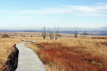 hochmoor wanderweg
