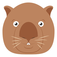 The head of a wombat