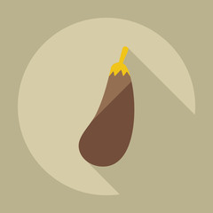 Flat modern design with shadow icons eggplant