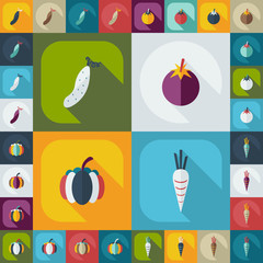 Flat concept, set modern design with shadow vegetables
