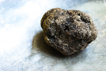 Schwarzer Perigord-Trüffel auf Metallgrund