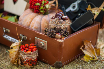 Outdoors picnic close up