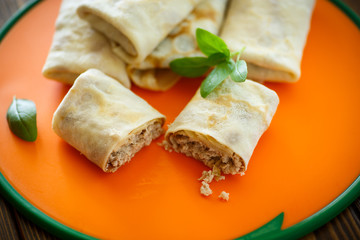 thin pancakes stuffed with meat