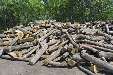 Firewood
