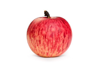 Red ripe apple