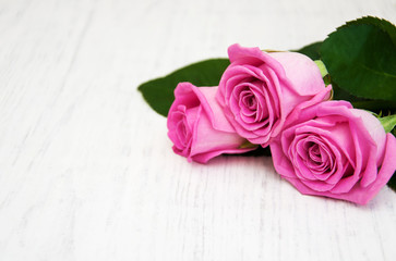 Naklejka premium Pink roses
