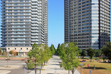 Obraz na płótnie Canvas 公園と高層ビル
