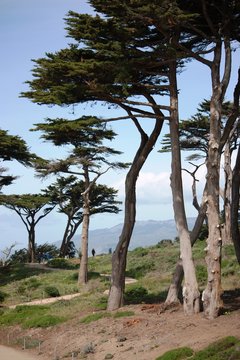 Lands end at Ocean Beach in San Francisco, USA