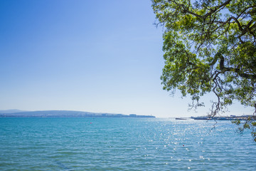 The Russian resort town of Gelendzhik