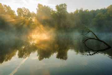 Herbstmorgen in Halle/Saale, Pulverweiden-Rabeninsel