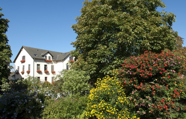 Fototapeta na wymiar Domaene, Mechtildshausen, Bauernhof
