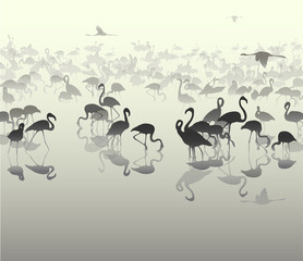 landscape with silhouettes of flamingo 3
