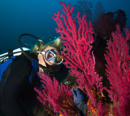 Woman scuba diver observes a moray on a coral reef