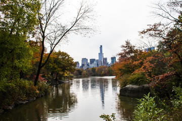 Fototapeta na wymiar Autumn in the Central Park