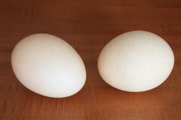 Eggs 