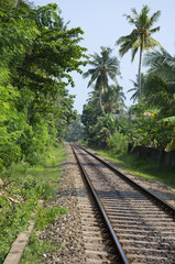 Fototapeta na wymiar Железная дорога в окрестностях Хиккадувы. Шри-Ланка