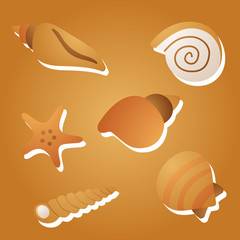 kind of sea shells, sticker vector silhouette illustration