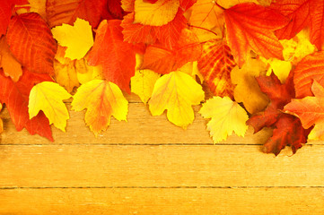  autumn leaves