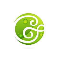 G letter with green leaves and dew drops.