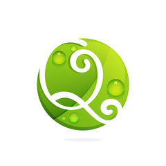 Q letter with green leaves and dew drops.